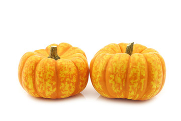 Small yellow and orange pumpkins on a white background