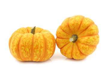 Small yellow and orange pumpkins on a white background