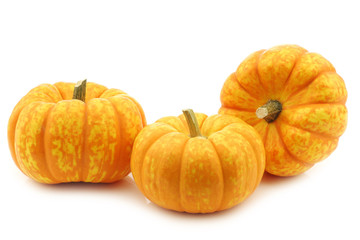Small yellow and orange pumpkins on a white background