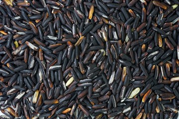 group of riceberry seed