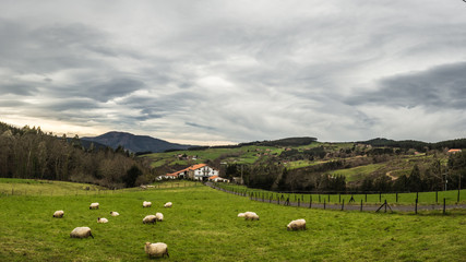 Typical Basque farmhouse with sheep grazing on a cloudy day