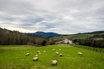 Typical Basque farmhouse with sheep grazing on a cloudy day