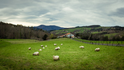 Typical Basque farmhouse with sheep grazing on a cloudy day