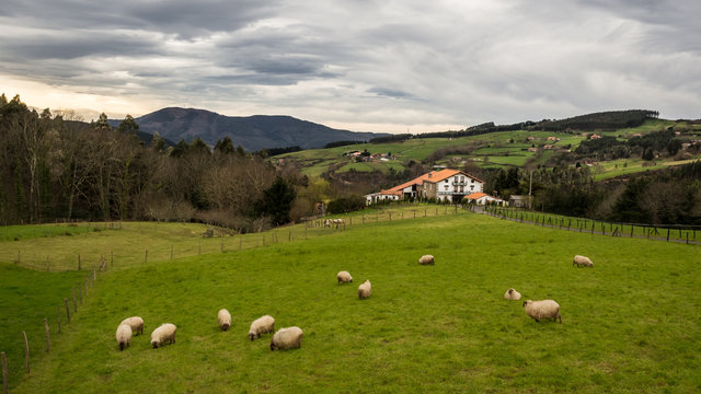 Typical Basque farmhouse with sheep grazing on a cloudy day