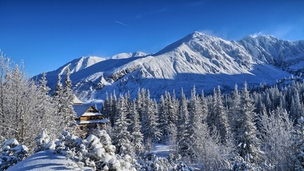 Dolina Gąsienicowa © Tomasz