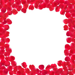 Background with realistic red rose petals isolated on white background.