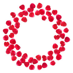 Background with realistic red rose petals isolated on white background.