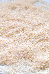 Grains of white Asian rice on blue background. Carbohydrates, healthy food, protein.