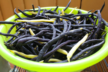 Dark purple and green beans lying on the plate. Healthy fresh vegetarian food. Snaps texture background.