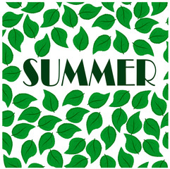 vector illustration leaves with summer text