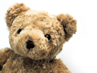 Close up, Teddy Bear Isolated on white background