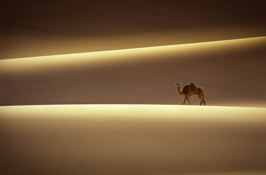 Algeria, Tassili N'Ajjer National Park - Africa
