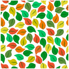  vector illustration pattern leaves on a white background