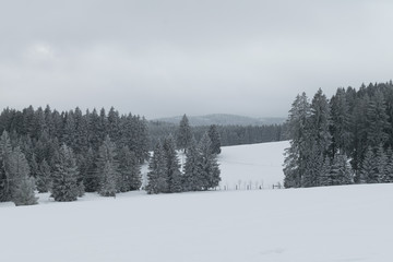 Südschwarzwald / Schönwald im Winter / Januar