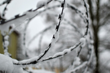 Barbed wire under a snowy cloudy winter day