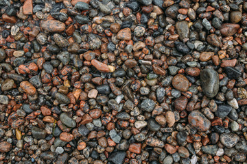 Wet colored sea stones texture
