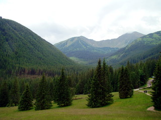Chochołowska Valley , Tatra Mountains in Poland.
