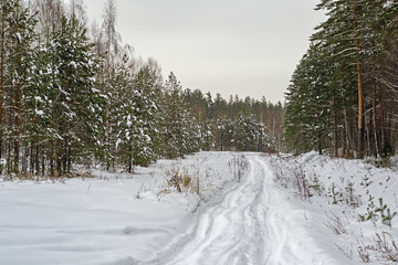 Winter landscape of Central Russia