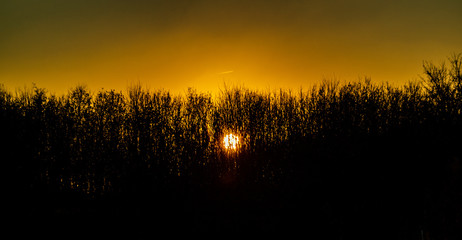 Sun rising and setting through hedgerow for silhouette effect