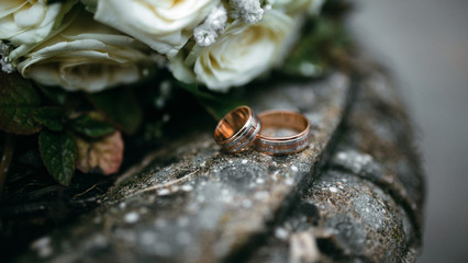 beautiful rings of newlyweds