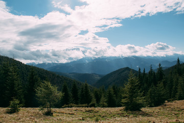 Fototapeta na wymiar landscape in the Carpathian mountains