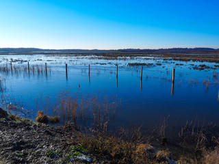 Icy winter day at St Aidan's Nature Park near Leeds, Yorkshire, England