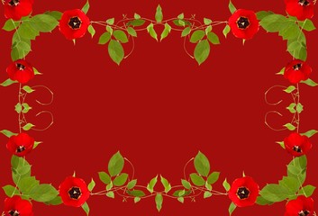 Poppy illustrations and white background for cards