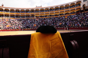 toro, toros, bull, fiesta brava, peto, picador, las ventas, san isidro, puya,