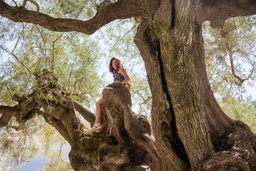 Papier Peint photo Lavable Olivier A child sitting on a giant very old olive tree in Greece