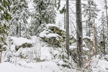 Romantischer Winterwald verschneite Bäume