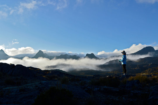 Paramo andino