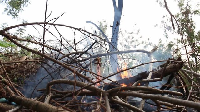 Heat ash and smoke from bornfire. Heat accumulated with global warming.  Or we are the cause of this problem