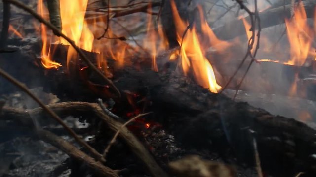 Heat ash and smoke from bornfire. Heat accumulated with global warming.  Or we are the cause of this problem