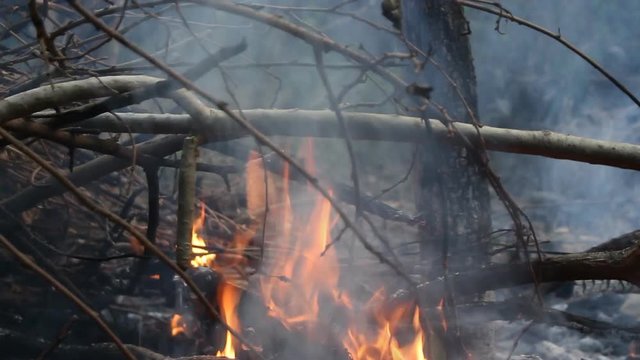 Heat ash and smoke from bornfire. Heat accumulated with global warming.  Or we are the cause of this problem