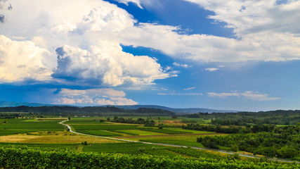 Stormy day in the vineyards of Brda, Slovenia