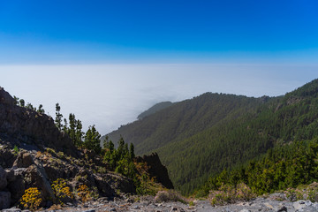 View of the valley and the forest from under the clouds. Viewpoint: Mirador de Ortuno. Tenerife. Canary Islands. Spain.