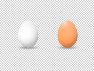 Chicken eggs isolated on transparent background. Vector illustration.