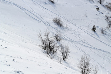 The slope of the snow-capped mountain streaked with ski tracks