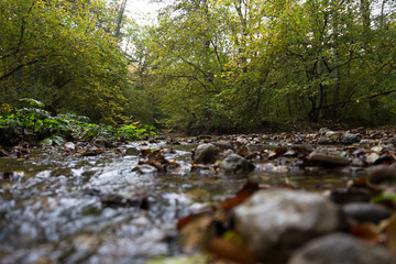 Obraz na płótnie Canvas The stream flows along a stony bed in the autumn forest. Autumn landscape.