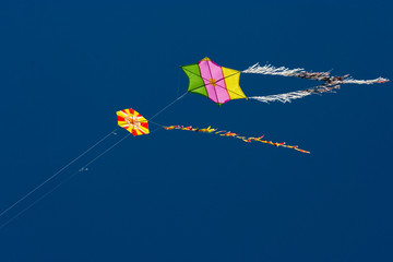 Kite in the sky.