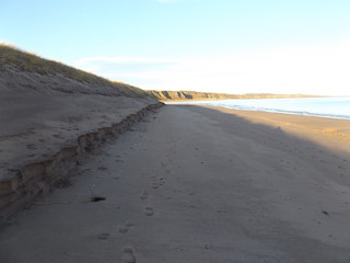 road in desert