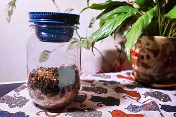 Food storage capacity. Can be used to store in the kitchen pasta, spices, sugar salt and other...