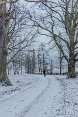 Ein Rest von Winter