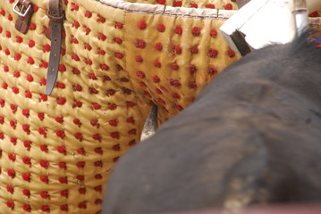 toro, toros, bull, fiesta brava, peto, picador, las ventas, san isidro, puya,