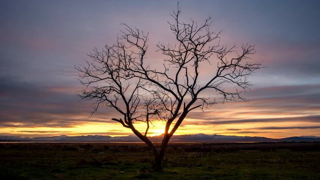 Colorful sunset time lapse as tree is silhouetted against the sky in flat landscape in Utah.