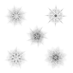 Obraz premium Holiday patterns of stars and flowers for gifts ground