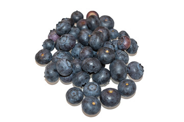 Blaubeeren isoliert auf weiss