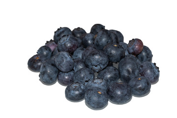 Blaubeeren isoliert auf weiss