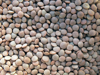 brown lentil beams background
