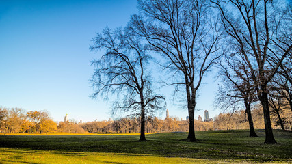 Obraz premium Central Park, New York